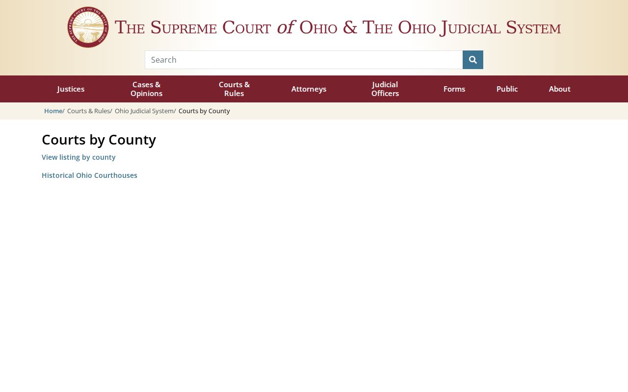 Sandusky County court docket search and Ohio trial court directory