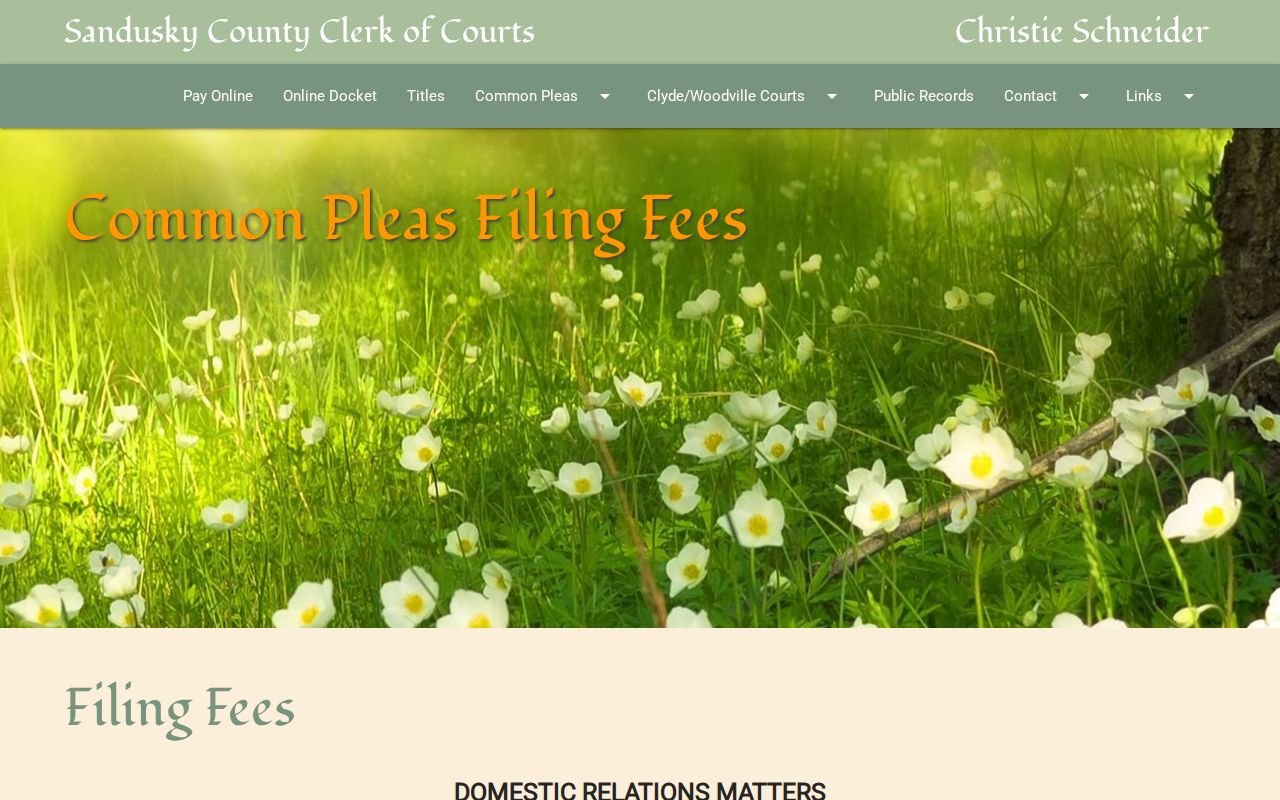 Sandusky County civil court docket Common Pleas filing and copy fee source