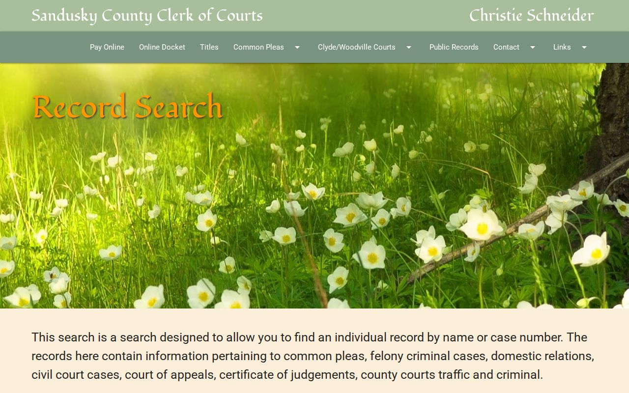 Sandusky County court docket Clerk Record Search name date and case number fields